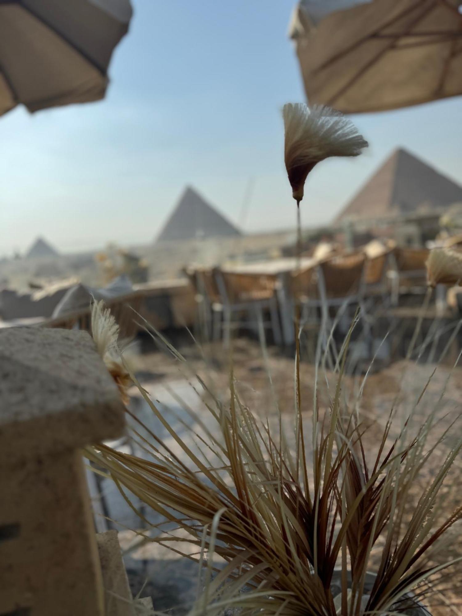 Hotel Pyramids And Sphinx View